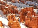 Snowy Hoodoos